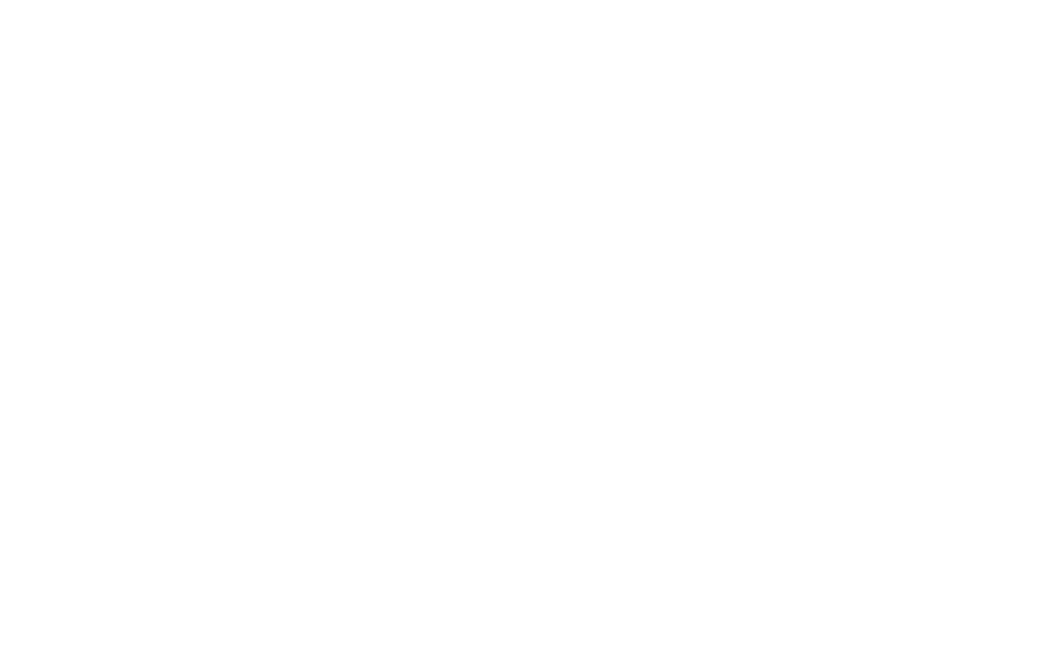 Summit_Foundation_Logo_Vert_White.png